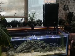 -MONANA蛋糕研究所