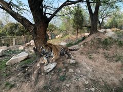 -西安秦岭野生动物园