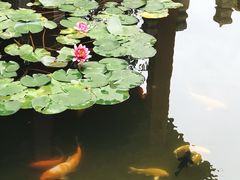 -东来顺饭庄(五道口店)