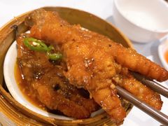 -食为先(Shark Fin)