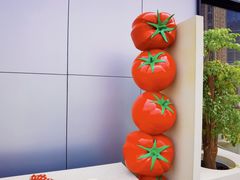 -沈阳铁西万象汇