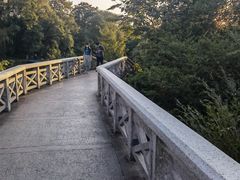 -贵阳市花溪国家城市湿地公园