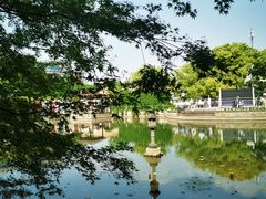 -嘉定紫藤园
