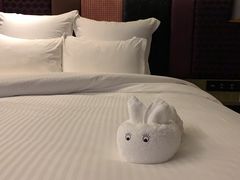 -南京禄口机场雅高铂尔曼大酒店