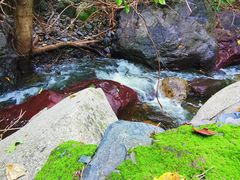 -云岫谷自然风景区