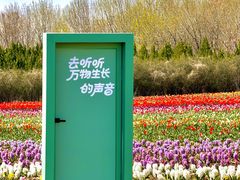 -青岛胶东国际机场