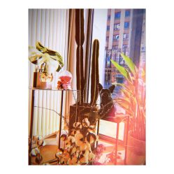 -Priscilla皮肤管理中心