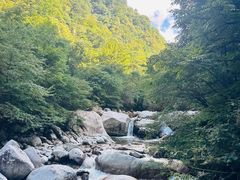 -青峰峡国家森林公园