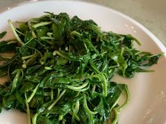 马兰头-丁老爷子苏香圆