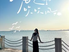 -芒洲湿地公园