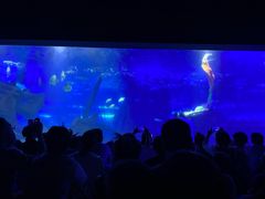-江和美海洋公园