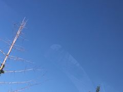 -銘悦阁烤鸭店