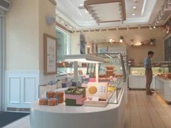 -蒲公英(五里店)