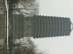 android_upload_pic-玲珑塔公园