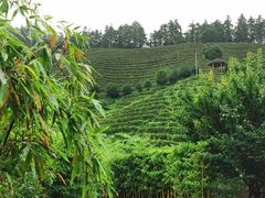 -心无尘茶餐馆(径山村店)