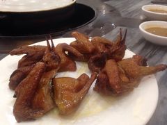 -鸽鸟轩(石岐店)