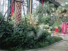 -郑州银基黄帝宫御温泉