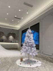 -MuseMarry婚纱(前海嘉里中心店)
