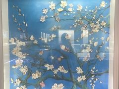 -贝壳王国博物馆