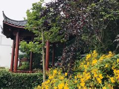 -上海长兴岛郊野公园