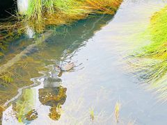 -花湖生态旅游区