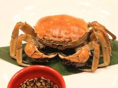 -阜阳富力万达嘉华酒店·美食汇自助餐厅