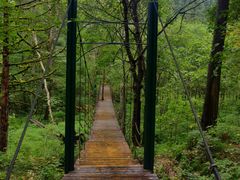 -五营红松林海景区