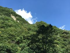 -陕西省红河谷森林公园
