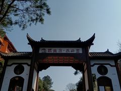 -铁山坪森林公园