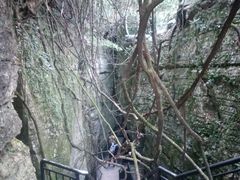 -梦幻奥陶纪景区