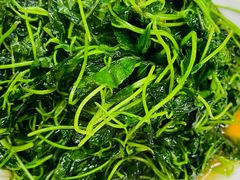 酒香金花菜-协和菜馆(凤凰街店)