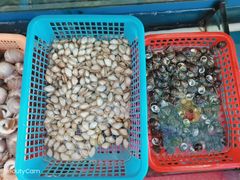 -渔中舟海鲜大排档(普陀沈家门店)