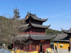 -树山生态村