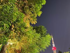 -文华公园(禅城区)