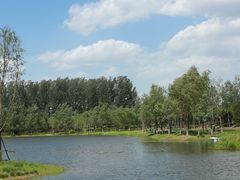 -东郊湿地公园