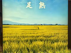 -岳阳市博物馆