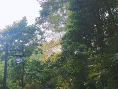 -法云安缦酒店