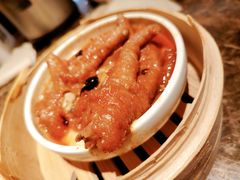 -金鼎轩(方庄天坛店)
