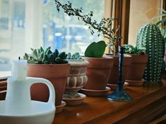 -AHAVA·Fang Baking Studio