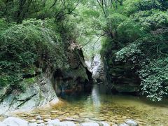 -少华山国家森林公园