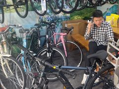 -GIANT捷安特自行车专卖店(金桥台儿庄路店)