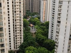 -新湖明珠城