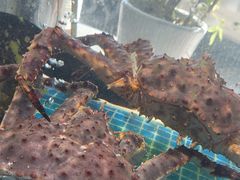 -77号渔船·蒸海鲜青岛菜(积米崖店)