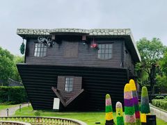 -金山农民画村-枫泾波兰倒置屋