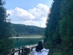 -武陵山森林公园