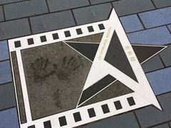 -星光大道