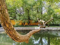 -西园戒幢律寺