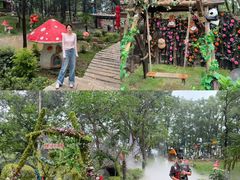 -沂蒙山旅游区云蒙景区(蒙山国家森林公园)