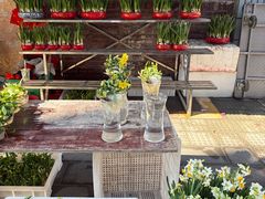 -溪岸路花鸟市场