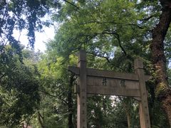 -龙井村